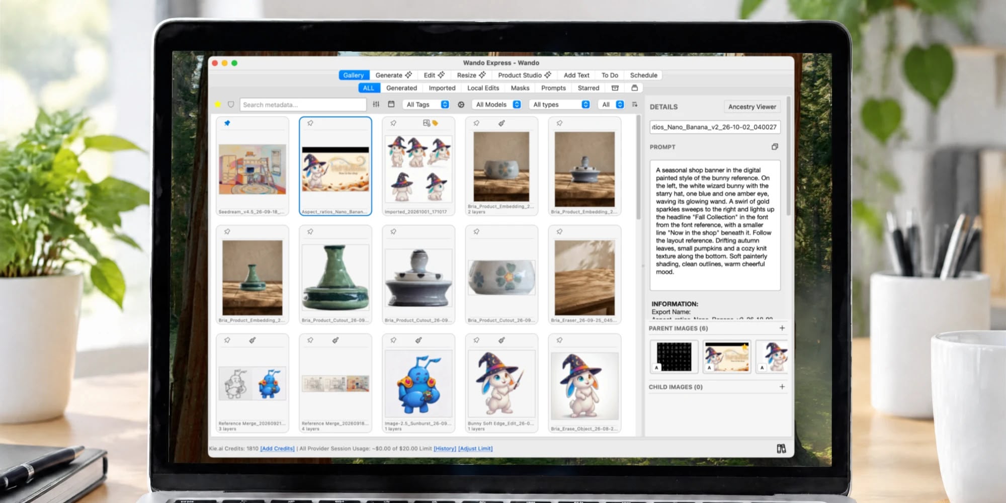 Wando's Gallery tab in light mode on a laptop, showing a grid of AI product photos and wizard-bunny artwork beside the selected image's prompt